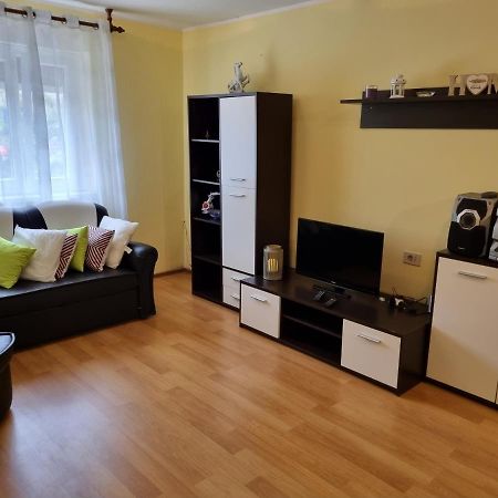 Apartment Sanja Pazin Esterno foto