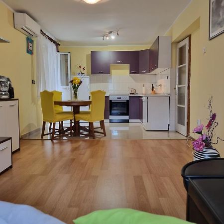 Apartment Sanja Pazin Esterno foto