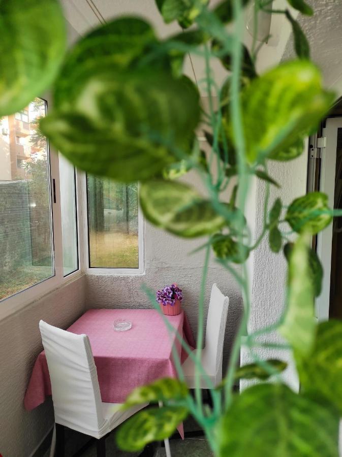 Apartment Sanja Pazin Esterno foto