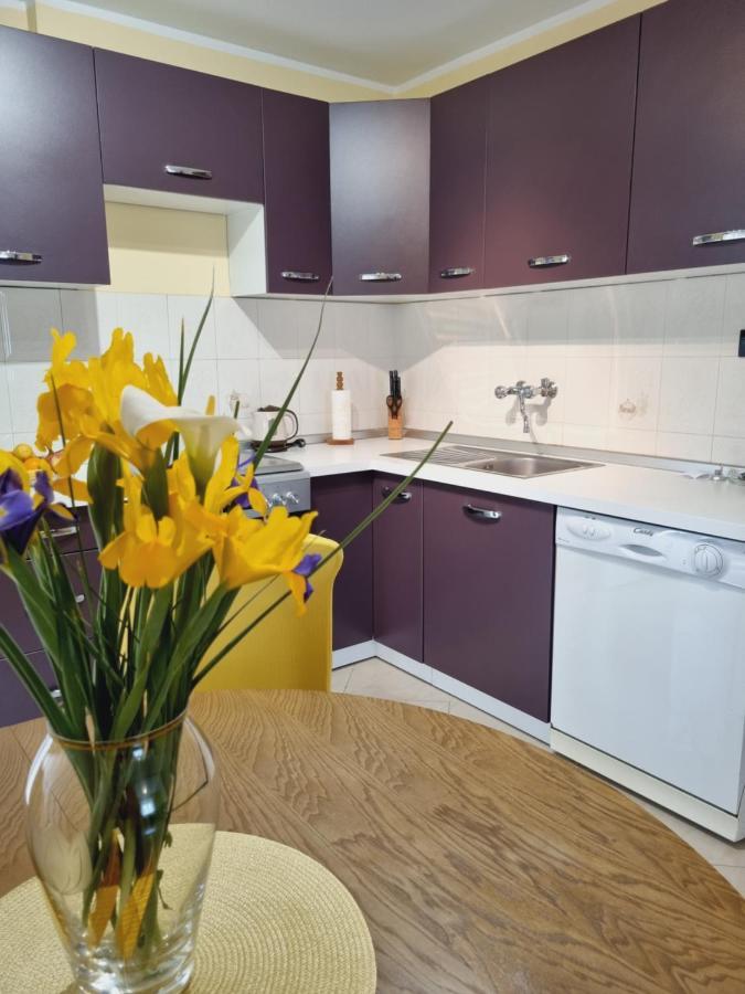 Apartment Sanja Pazin Esterno foto